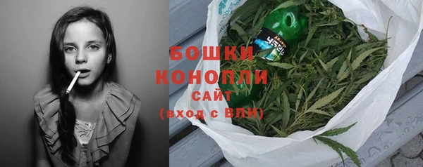 индика Навашино