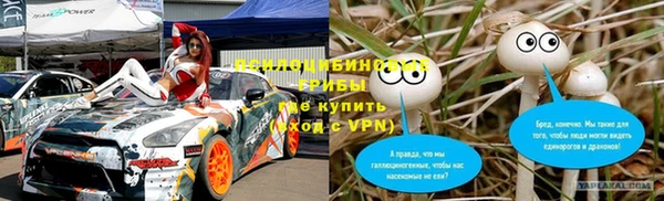 а пвп мука Надым