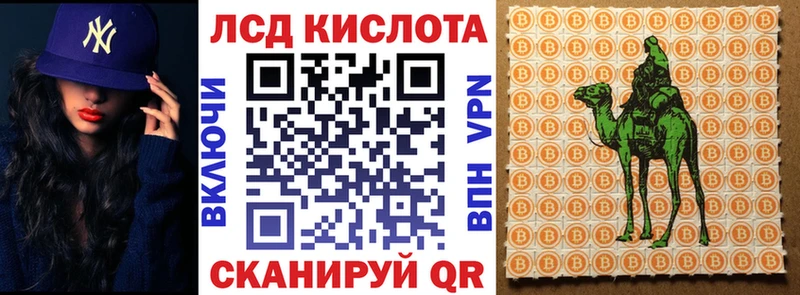 Купить закладки  Снежногорск  Марки 25I-NBOMe 1,8мг 