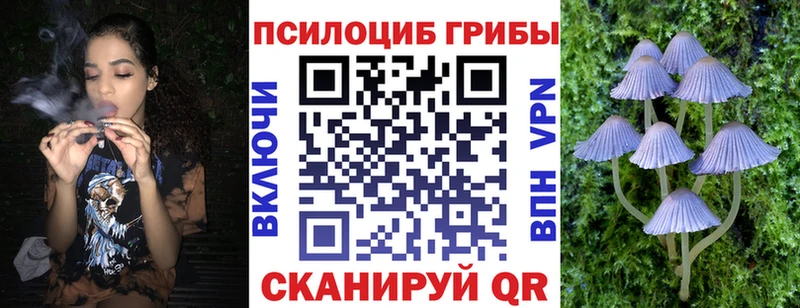 Псилоцибиновые грибы прущие грибы  Купить где  Снежногорск 